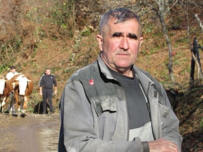 Domaćinstvo Sladojević