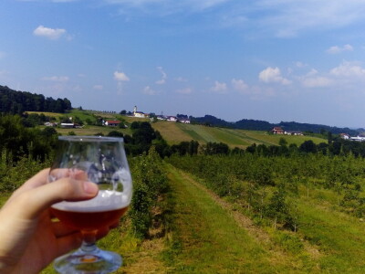 Od hobi voćnjaka do proizvodnje zdravih sokova i kraft piva: Kako je porodica Vrhovac ispunila svoj san