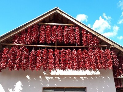 Donja Lokošnica je i ove jeseni "carstvo paprike"