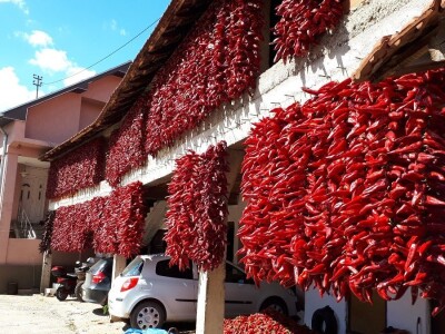 Donja Lokošnica je i ove jeseni "carstvo paprike"