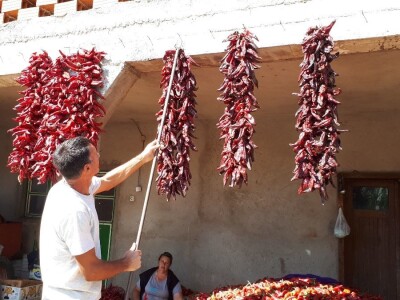 Donja Lokošnica je i ove jeseni "carstvo paprike"