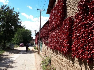 Donja Lokošnica je i ove jeseni "carstvo paprike"