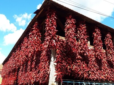 Donja Lokošnica je i ove jeseni "carstvo paprike"