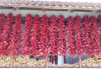 Donja Lokošnica je i ove jeseni "carstvo paprike"