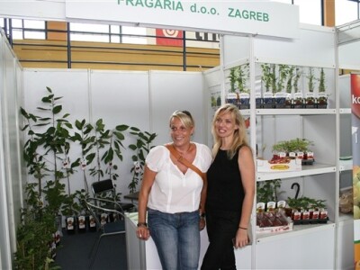 Fragaria