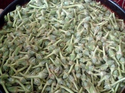 Đonlići uzgajaju bamiju na 8 duluma - ručno ju okopavaju do četiri puta Đonlići uzgajaju bamiju na 8 duluma - ručno ju okopavaju do četiri puta