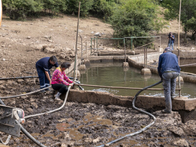 Dopremanje vode za stoku na Suvoj planini