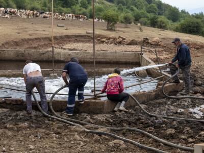 Dopremanje vode za stoku na Suvoj planini