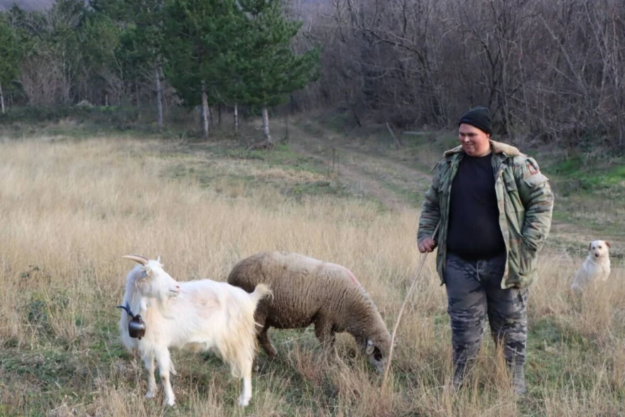 Đorđe Pajkić