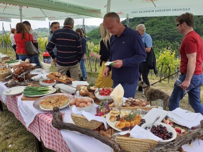 Doručak u vinogradu