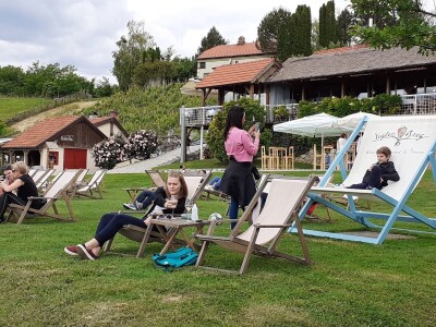 Doručak u vinogradu