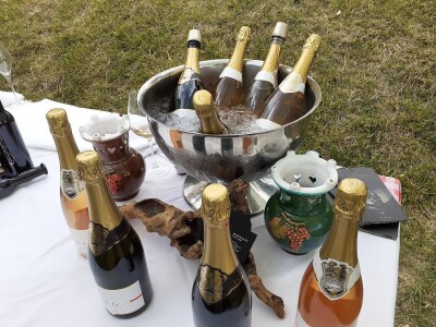 Doručak u vinogradu