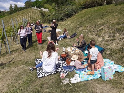 Doručak u vinogradu