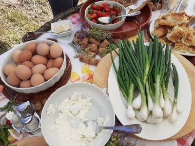 Doručak u vinogradu