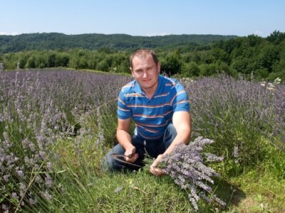 Ivan planira širiti plantaže lavande