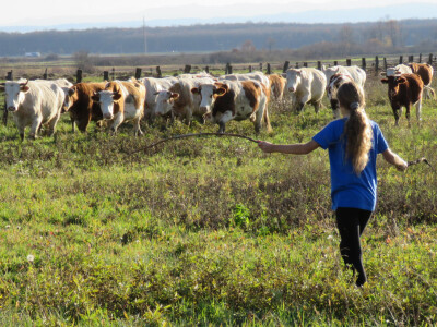 Jedanaestogodišnja Petra, odlična učenica voli pomagati na gospodarstvu