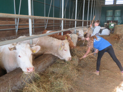 Vrijedni mališani Petra i Luka često hrane goveda
