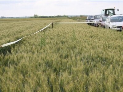 Dani polja Dow AgroSciences