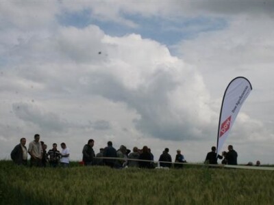 Dani polja Dow AgroSciences