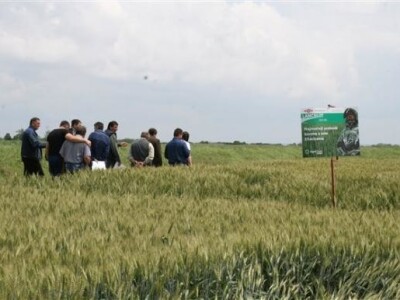 Dani polja Dow AgroSciences