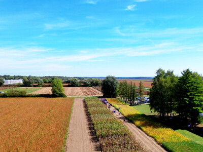 Bc Institut - Dan polja BC kukuruza i soje