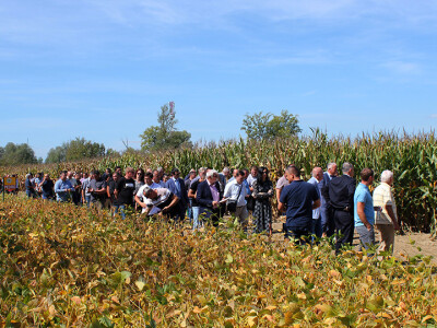 Bc Institut - Dan polja BC kukuruza i soje