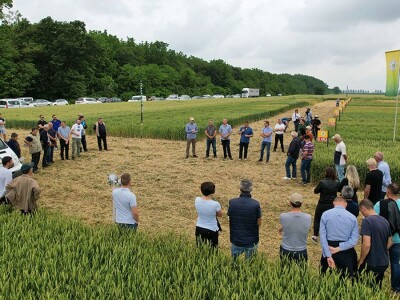 Dan polja strnih žitarica Bc Instituta u Lovasu