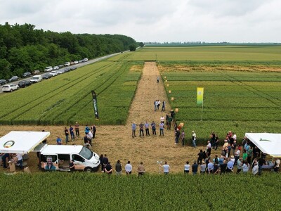 Dan polja strnih žitarica Bc Instituta u Lovasu