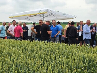 Dan polja strnih žitarica Bc Instituta u Lovasu