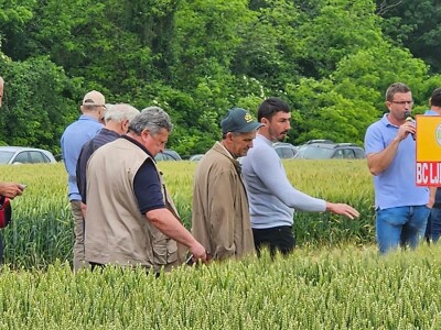 Dan polja strnih žitarica Bc Instituta u Lovasu