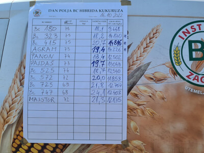 Županijski dan polja BC hibrida kukuruza