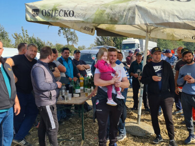 Županijski dan polja BC hibrida kukuruza