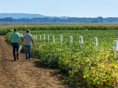Na Danima polja soje Axereal predstavio i nove sorte - u prodaji od iduće godine