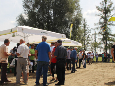 Centralni dan polja Bc hibrida kukuruza