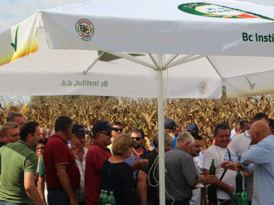 Centralni dan polja Bc hibrida kukuruza