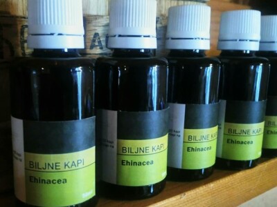 Dr Aleksandar Ristic  i lekovito bilje