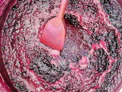 Dr Aleksandar Ristic  i lekovito bilje