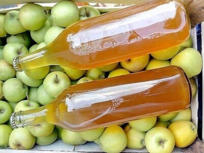 Dr Aleksandar Ristic  i lekovito bilje