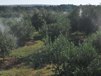 Dr. Ivica Vlatković: Punjenje turističkih bazena postalo važnije od navodnjavanja poljoprivrede