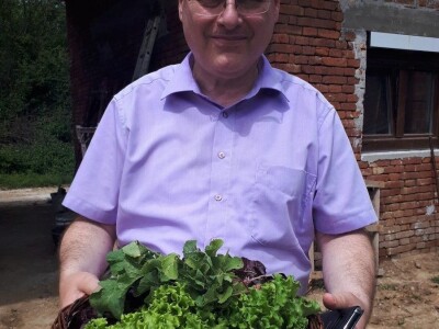 DR. IVO JOSIPOVIC
