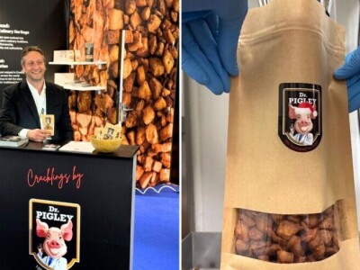 Sve o putu jednog čvarka