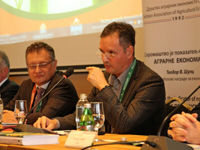 Dragan Crnjancki, Alrawafed