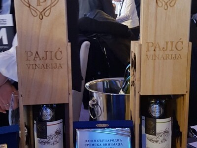 Dragan Pajić na djedovini podigao vinograd i proizvodi vrhunska vina Dragan Pajić na djedovini podigao vinograd i proizvodi vrhunska vina