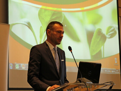 Dragan Sagovnović, Ekonomski fakultet