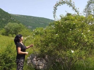 Dragana Aćić se sa porodicom vratila selu, ali i šipurku, drenjini i trnjini