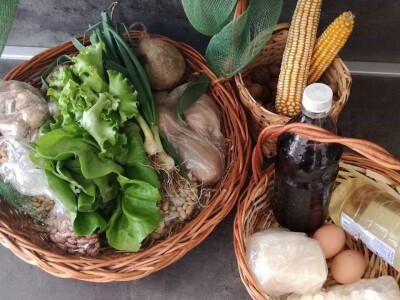 Dragana Jačimović - Domaće i naše