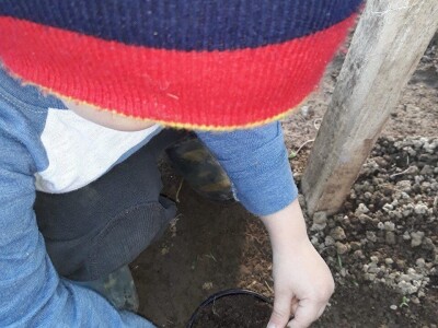 Dragana Jačimović - Domaće i naše