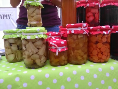 Dragana Jagodić ostala bez posla, pa pokrenula proizvodnju zimnice