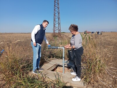 Dragana Padejski, uzgoj kukuruza