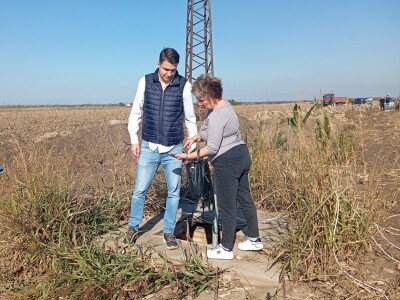 Dragana Padejski, uzgoj kukuruza